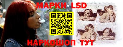 шишки Надым