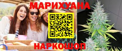шишки Надым