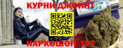шишки Надым