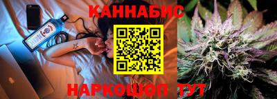 шишки Надым