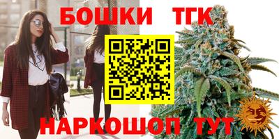 шишки Надым