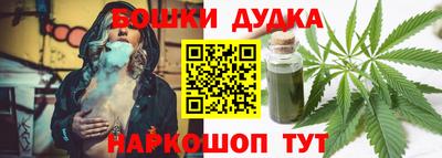 шишки Надым