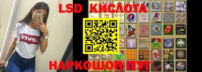 шишки Надым