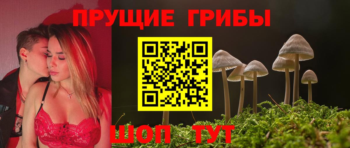 Псилоцибиновые грибы Cubensis  Вход с VPN  Батайск 