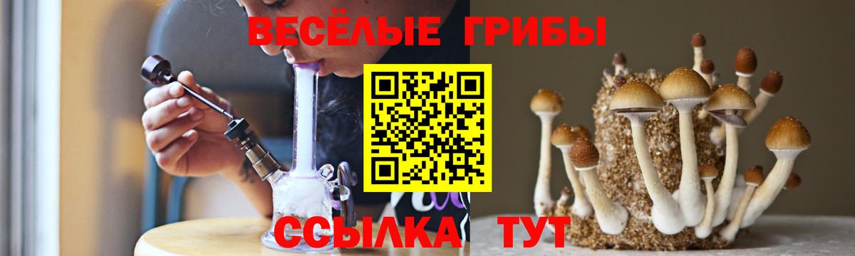 Галлюциногенные грибы Cubensis Батайск